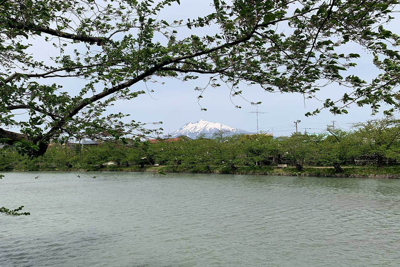 弘前公園/2023/春