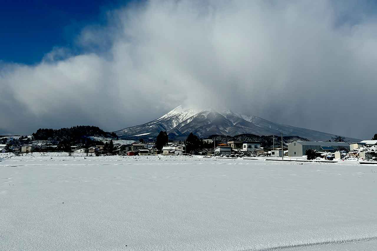 朝/静かだと思ったら/一面の雪