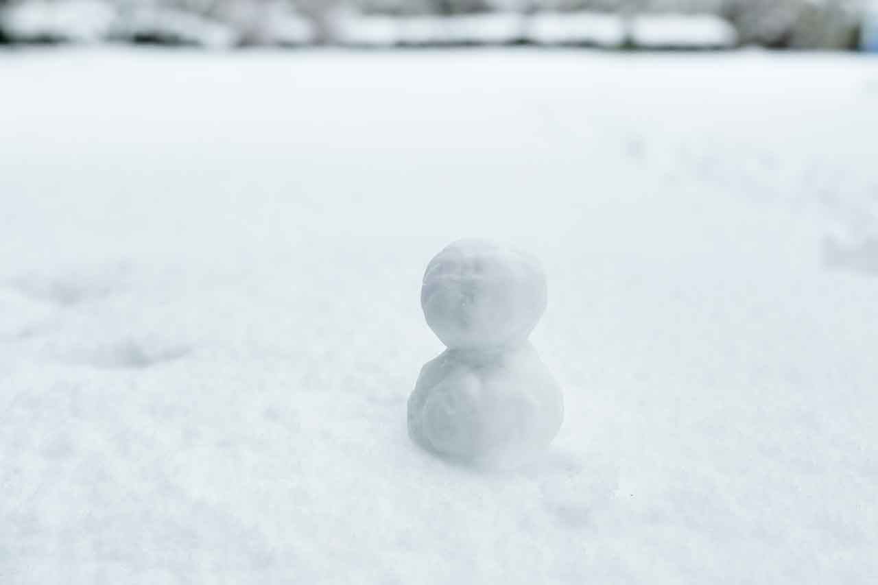 ゆき/シーズン到来/2024