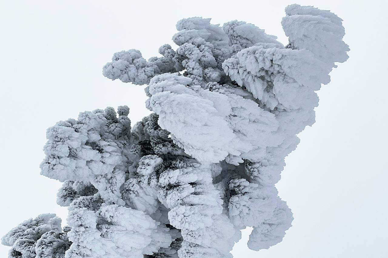 八甲田山/ロープウェー/樹氷